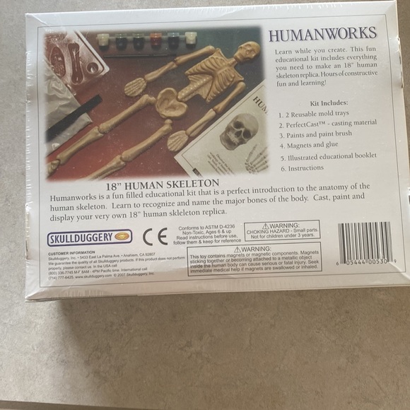 New Discovery Toys Humanworks 18” Human Skeleton New in Box Great teaching tool - Picture 2 of 7